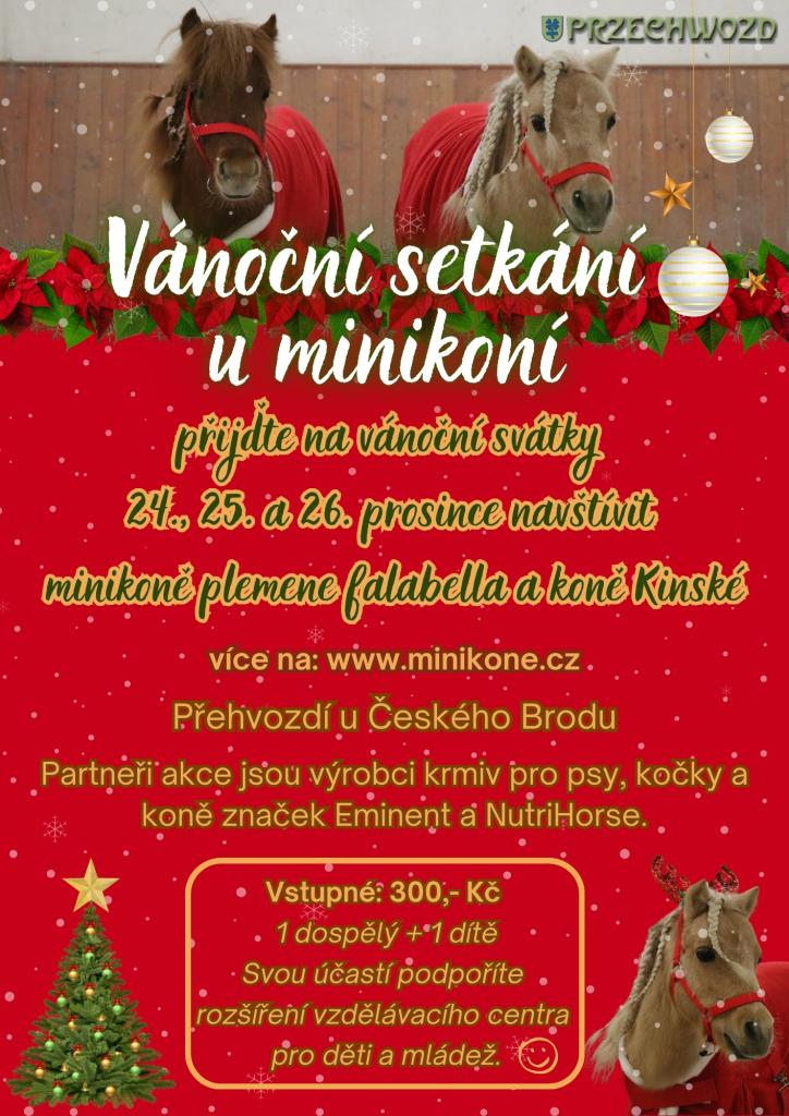 Vánoční setkání u minikoní